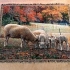 Ewephoric Fall Sheep Tapestry product image