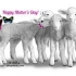 Mother’s Day Whisper Lambs Cards product image